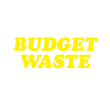 Budget Waste